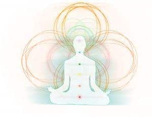 The Chakras