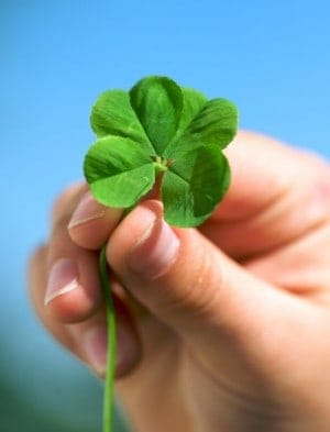 Holding 4 leaf clover