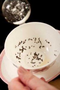 Tea Cup, Tea Leaf Reading