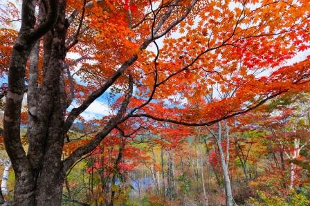 Mabon