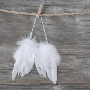 Angel Wing Feathers