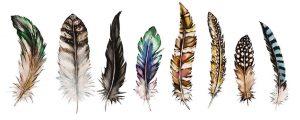 Feather Magic