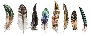 Feather Magic