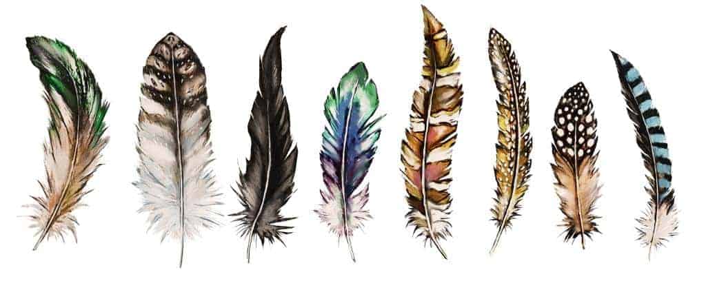 Feather Magic